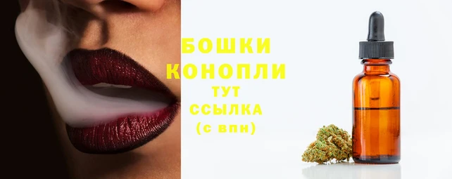 шишки Строитель
