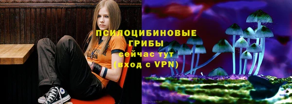 Альфа ПВП Тавда