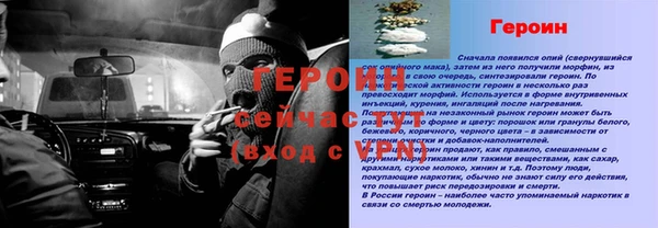 ПСИЛОЦИБИНОВЫЕ ГРИБЫ Сясьстрой